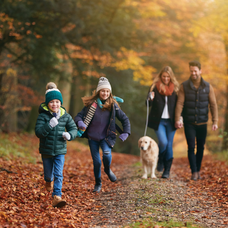 Family walking together through woodlands